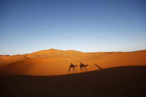 merzouga camel trip